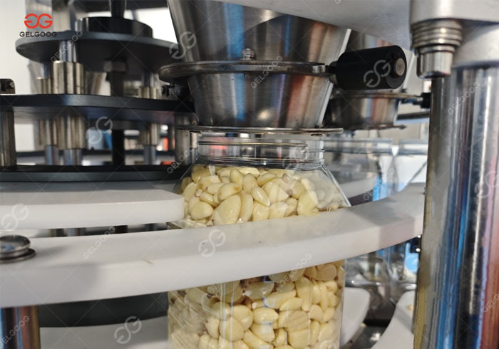 Fresh Garlic Processing Line